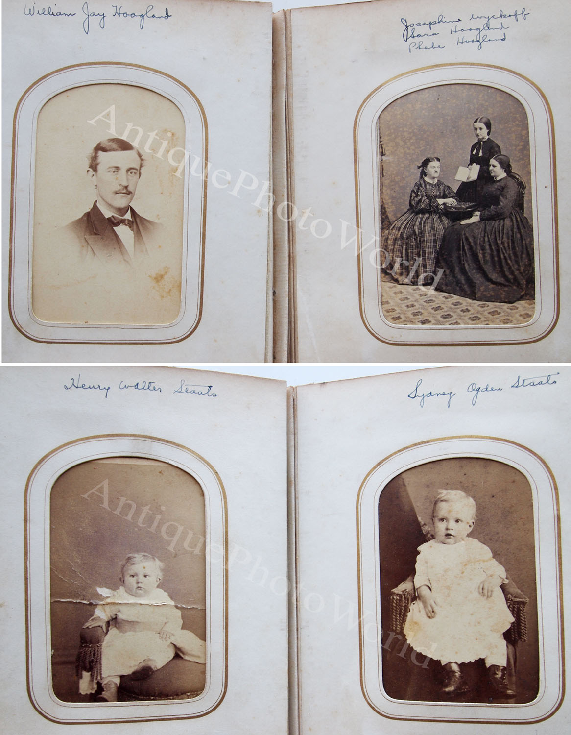  Tintype Photo Album Identified Hoagland Slaats Brearley Wyckoff